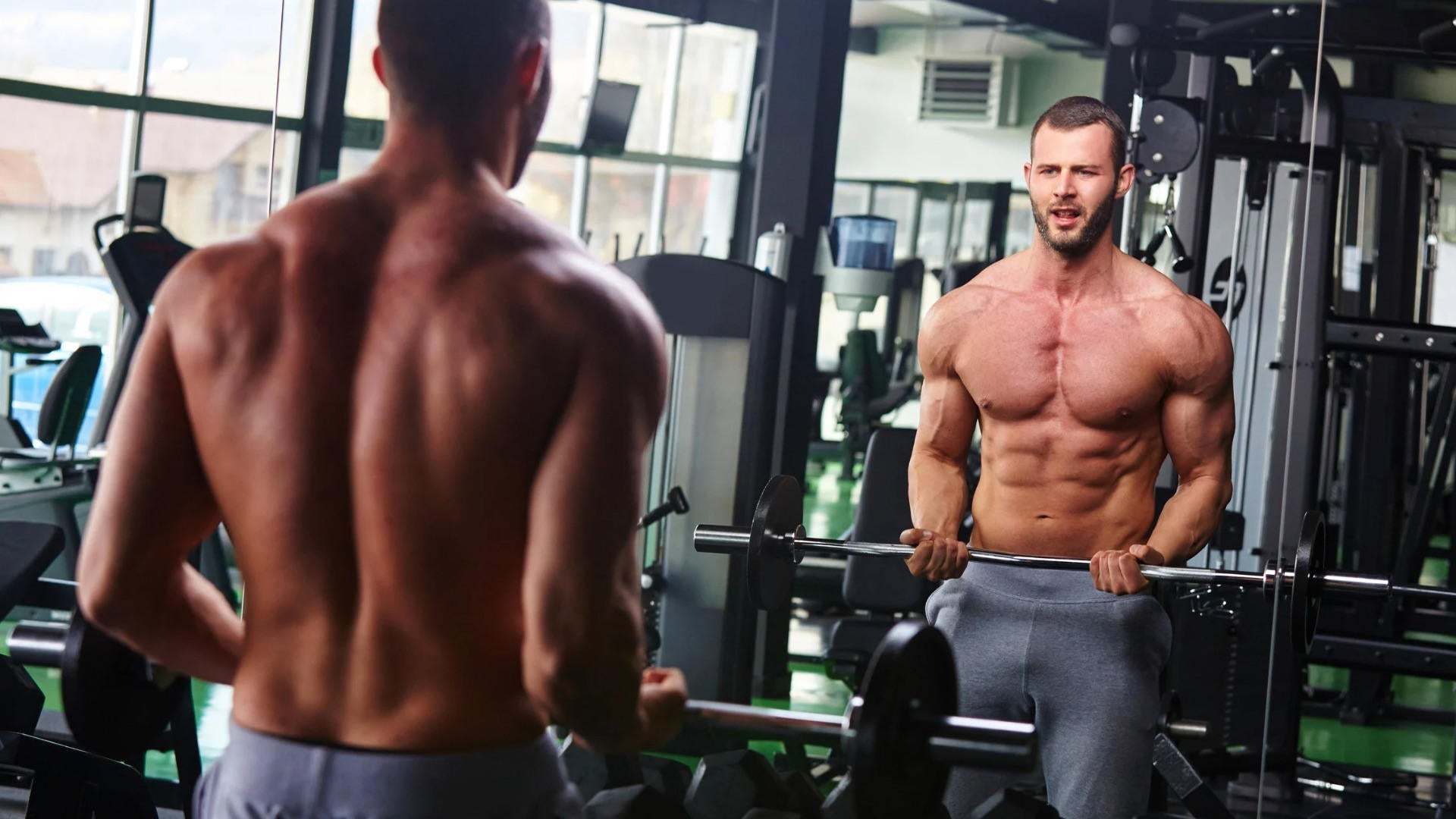 GYMSHAKER - FSA NUTRITION