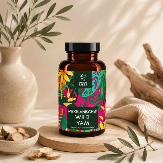 Mexikanischer Wild Yam