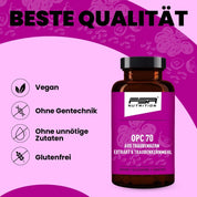 FSA NUTRITION - OPC 70 Traubenkern im Glas - 60 Kapseln